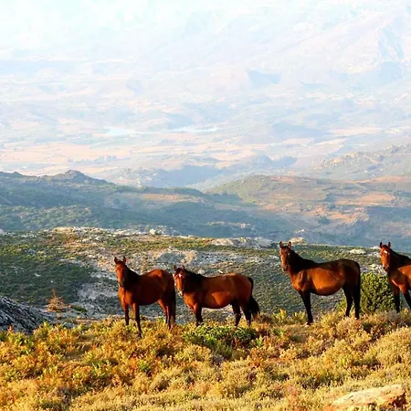 Nuits Magiques Au Village Entre Et Montagnes * Bigorno