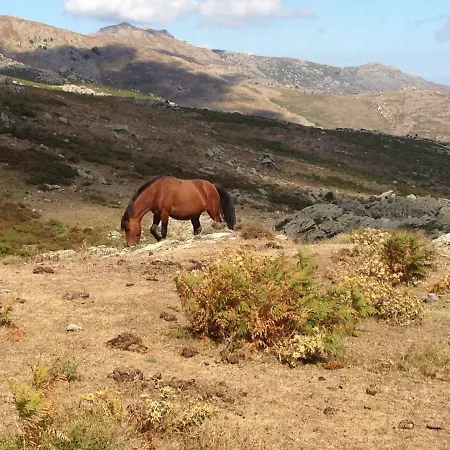 Séjour à la campagne Nuits Magiques Au Village Entre Et Montagnes *