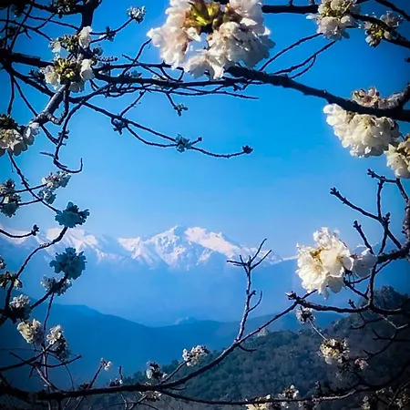 Nuits Magiques Au Village Entre Et Montagnes