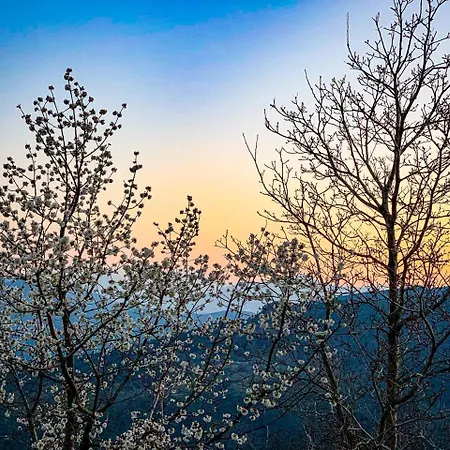 Nuits Magiques Au Village Entre Et Montagnes Bigorno