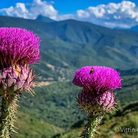 Nuits Magiques Au Village Entre Et Montagnes Bigorno