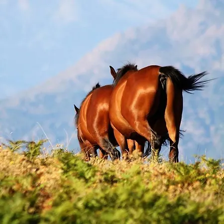 Nuits Magiques Au Village Entre Et Montagnes Country house