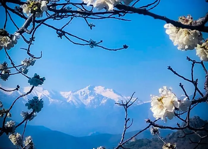 Nuits Magiques Au Village Entre Et Montagnes