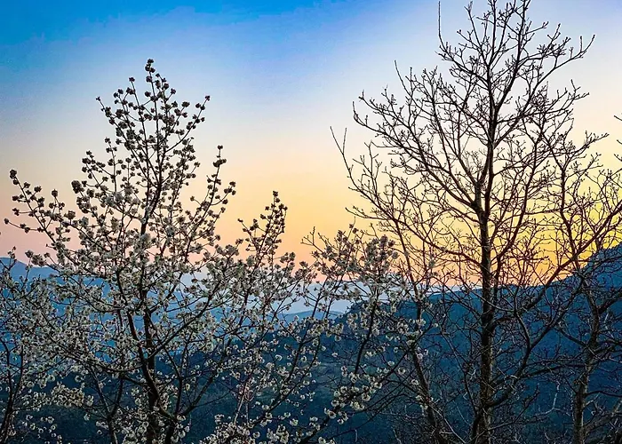 Nuits Magiques Au Village Entre Et Montagnes Bigorno