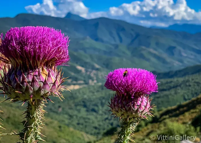 Nuits Magiques Au Village Entre Et Montagnes Bigorno